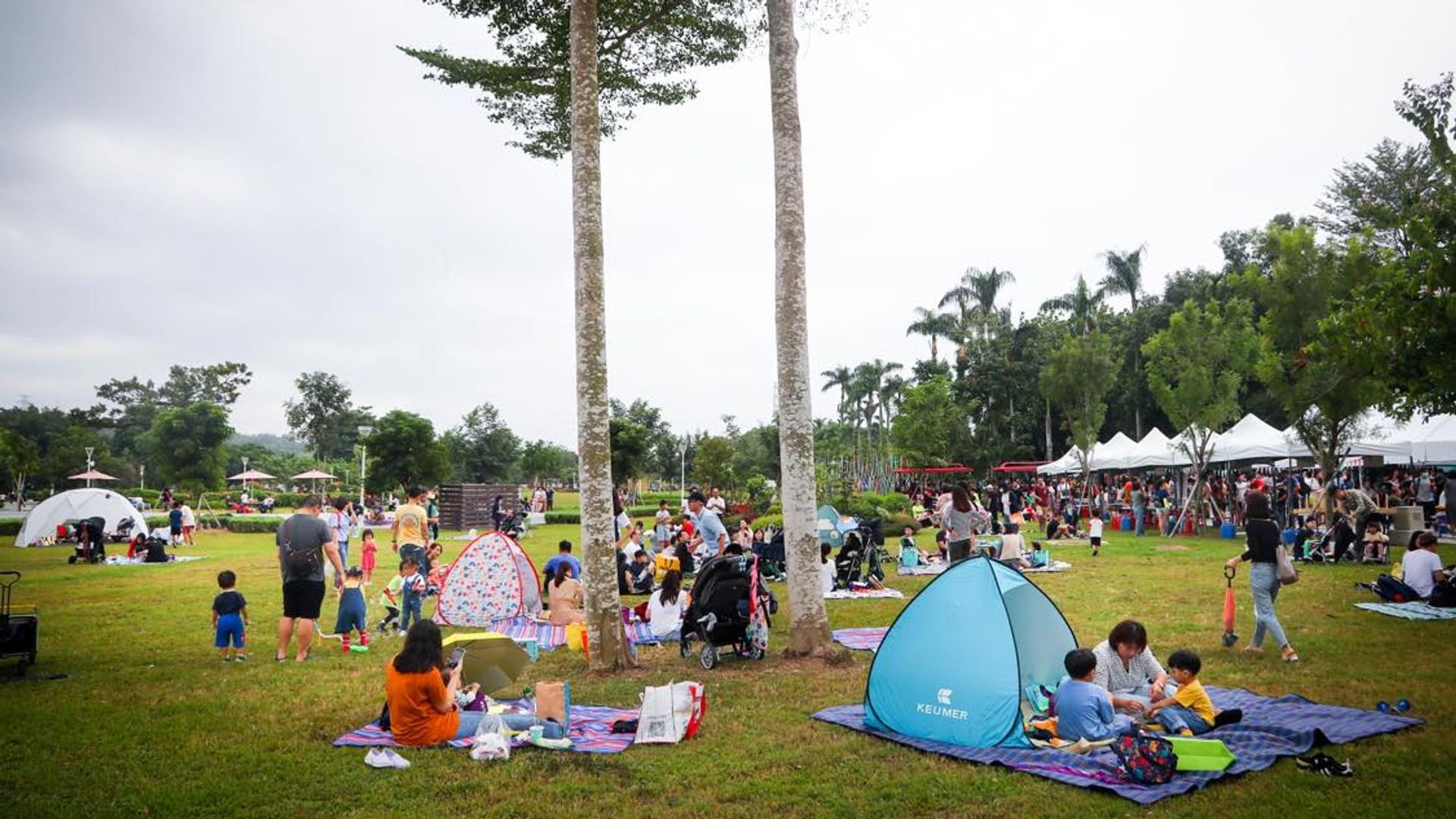 Festival in the Park