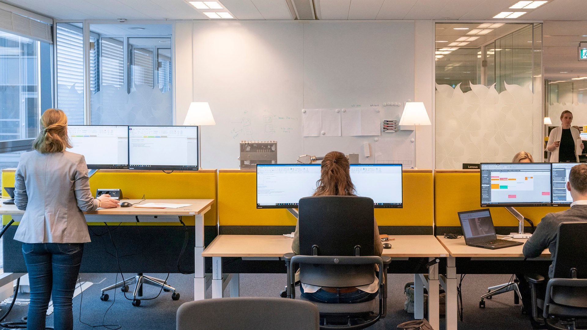 A view from behind three colleagues sitting or standing in a row at desks with computer monitors in an office with large windows.