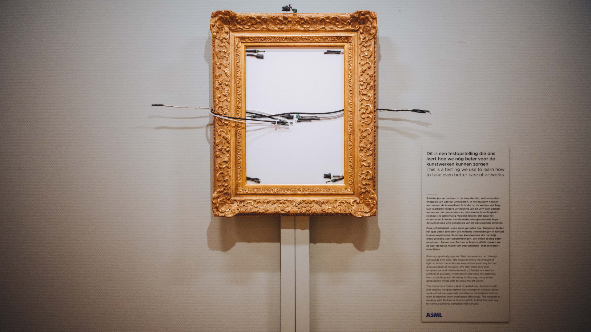 van-gogh-5 van-gogh-5